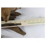 Driftwood Decor Set - 4 Pieces (Three Branches & Flat Slab) 20'-25'