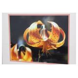 Framed Art Prints Set - Duck Portraits, Orange Lily Close-Up & Country Sampler Many Sizes