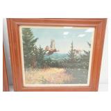 19"x 17" "Through The Clearing" Ruffed Grouse Framed Art Print. by Richard E. Bishop