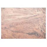 20x16" Canvas Art Print "Snow Geese" by Andres Kiss