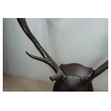 Wall-Mounted Elk Horns - Stained