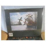 (BS) Case of 8 New Wild Fowl of Nor...