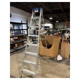 Werner Aluminum A-Frame Stepladder