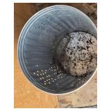 Galvanized Metal Compost Bin