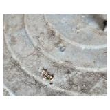 Metal Trash Can with Lid - Starting to rust out on bottom