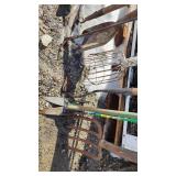 Lot of Garden Tools Including Shovels, Hoes, and Fork