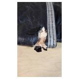 Allen Gun Socks and Rifle Cases