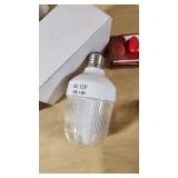 Assorted Light Bulbs and Solar Light Lot