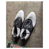 Titleist Golf Bag, Nike Golf Shoes Size 11, and Golfer