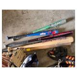 Easton Baseball Bats, Gloves, Nike and Adidas Cleats, and Helmets Lot