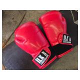 Century Heavy Bag with ILKB Kickboxing Gloves and Everlast Punch Mitts - Bag is 44"