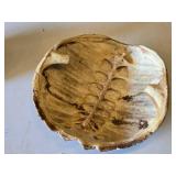 Snapping Turtle shell measuring approximately 12 inches