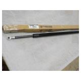 Strut and Hood Assist...