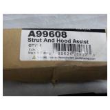 Strut and Hood Assist...