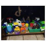 Cupboard of Cleaning Supplies