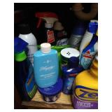 Cupboard of Cleaning Supplies