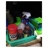 Cupboard of Cleaning Supplies