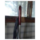 Bissell Quicksteamer Carpet Cleaner