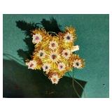 Christmas Lighting Lot - Musical Light-Up Bells!