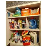 (3) Shelves of Laundry & Household Cleaners