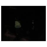 BLUEBIRD SCHOOL BUS 77 PASSENGER CAPACITY