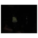 BLUEBIRD SCHOOL BUS 77 PASSENGER CAPACITY