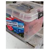 Bean Bag Toss with Bags