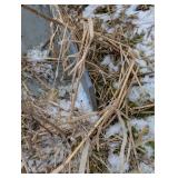 Large Metal Work Lot - Big Iron - Angle Iron, Piping, Tube Steel , Specialty Aluminum and Large Pile of Barn Tin Siding/Roofing + Storage rack