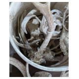 Bucket of Deer Racks with Skulls
