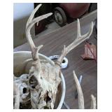 Bucket of Deer Racks with Skulls