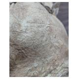 Rolled Up- Deer Hide