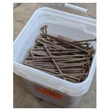 Large Bucket - SDW22x8" Structural Timber Screws