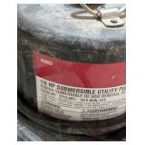 Pair of Transfer Sump Pumps