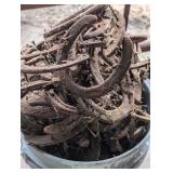 Overflowing 5 Gallon Bucket - Real Horseshoes - Heavy
