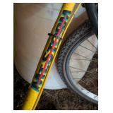 18 Speed Mt. Storm Pedal Bike