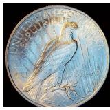 AU 1923 Peace Dollar, Original Surfaces AU 1923 Peace Dollar, Original Surfaces