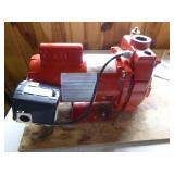 Red Lion Convertible Jet Pump
