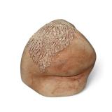 Grandmother Rock for Remembrance