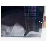 Samsung QE70T 4K UHD Commercial LED Display (Lines in the Display)