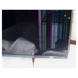 Samsung QE70T 4K UHD Commercial LED Display (Lines in the Display)