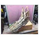 Large Piece Driftwood 36" x 20" x 10" Appears Varnished