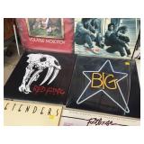 (10) Rock/Punk Vinyl LP Records - Local Interest?