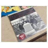 (10) Rock/Punk Vinyl LP 45 Records - Local Interest?