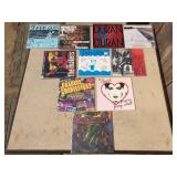 (10) Rock/Punk Vinyl LP 45 Records - Local Interest?