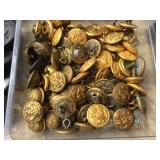Fabulous Group Old U.S. MIlitary Buttons 18th - 19th Centuries