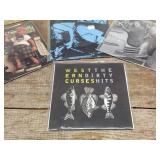 (11) Rock/Punk Vinyl LP 45 Records - Local Interest?