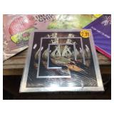 (10) Rock/Punk Vinyl LP 78 Records