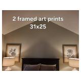 Papaver somniferum Botanical Prints - Framed (2) 31x25 cm Each