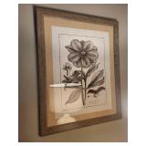 Papaver somniferum Botanical Prints - Framed (2) 31x25 cm Each