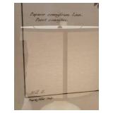 Papaver somniferum Botanical Prints - Framed (2) 31x25 cm Each